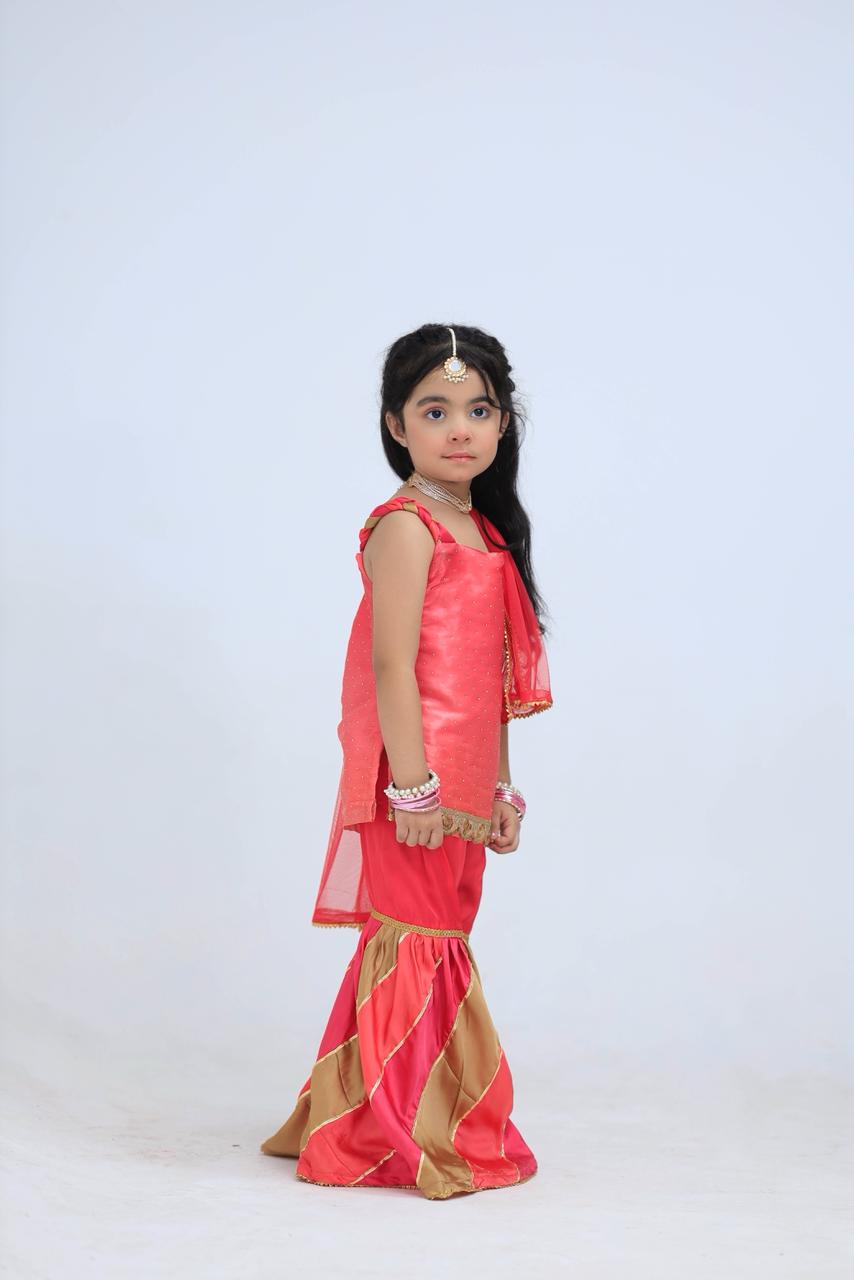 Chatapati Pink 4pc